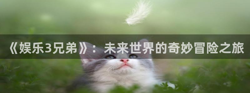 美狮贵宾会登录中心：《娱乐3兄弟》：未来世界的奇妙冒险之旅