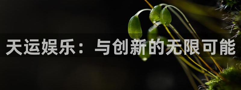 ms美狮贵宾会：天运娱乐：与创新的无限可能