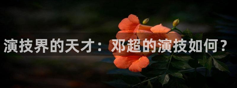 美狮贵宾会线路检测：演技界的天才：邓超的演技如何？