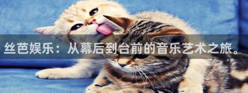 美狮贵宾会官网登录：丝芭娱乐：从幕后到台前的音乐艺术之旅。
