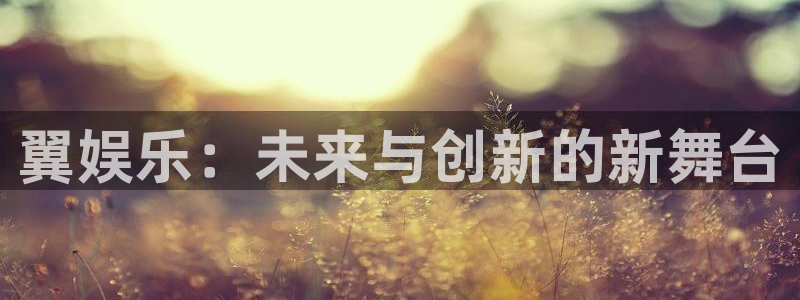 美狮贵宾会0923344：翼娱乐：未来与创新的新舞台