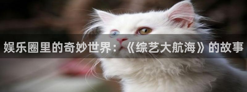 美狮贵宾会：娱乐圈里的奇妙世界：《综艺大航海》的故事