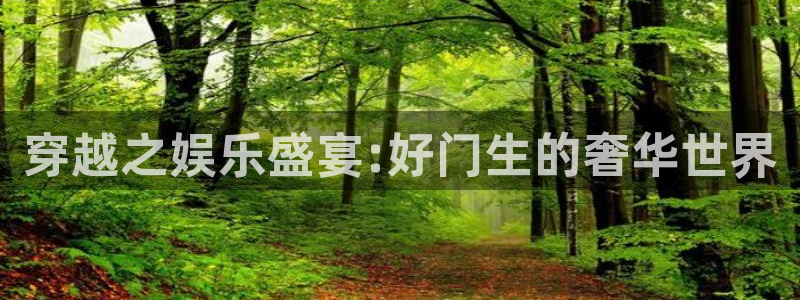 美狮贵宾会登录中心：穿越之娱乐盛宴:好门生的奢华世界