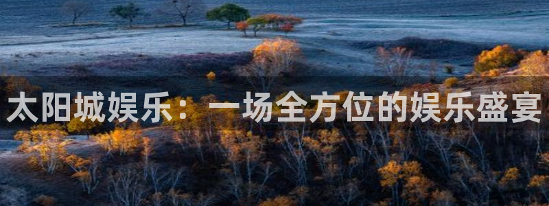 美狮贵宾会网页登陆：太阳城娱乐：一场全方位的娱乐盛宴
